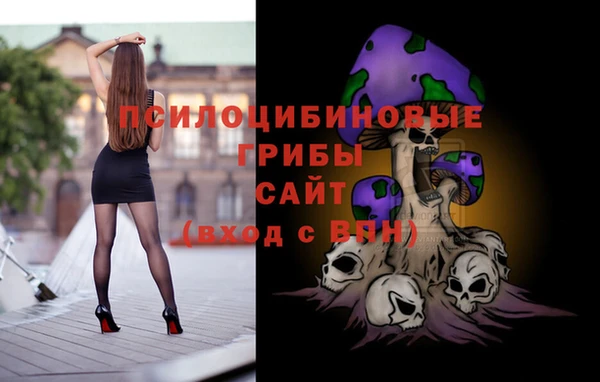 индика Алексеевка